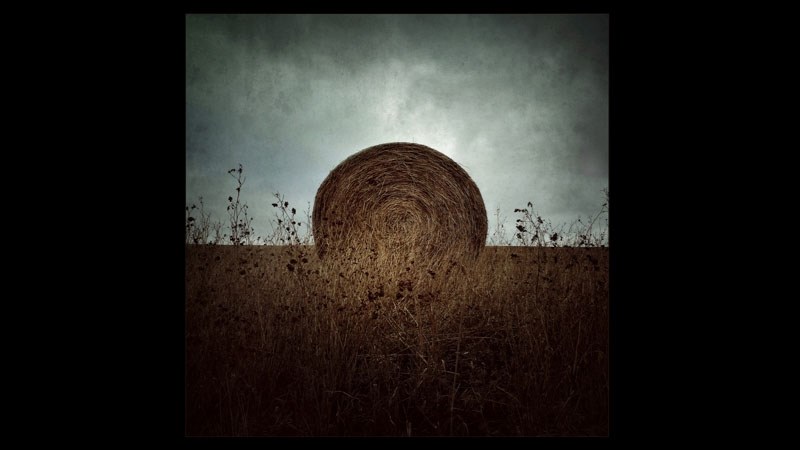 Allan Bailey&#8217;s Solitude was one of two photographs that helped him take national attention during last month&#8217;s Professional Photographers of Canada annual awards
