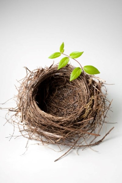 Finding a new name for the empty nest - St. Albert Gazette