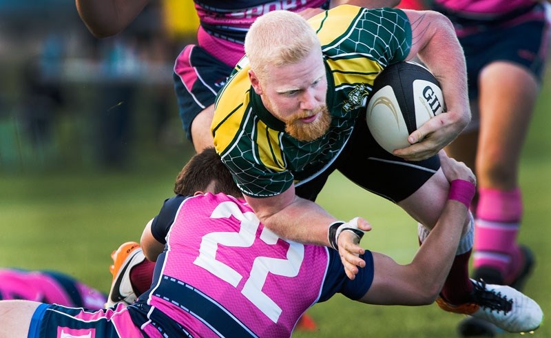 GOOD AS GOLD â€“ Christian Otto of the St. Albert Rugby Football Club powers through a tackler for the Edmonton Rugby Union Gold in Wednesday&#8217;s U23 friendly against the 