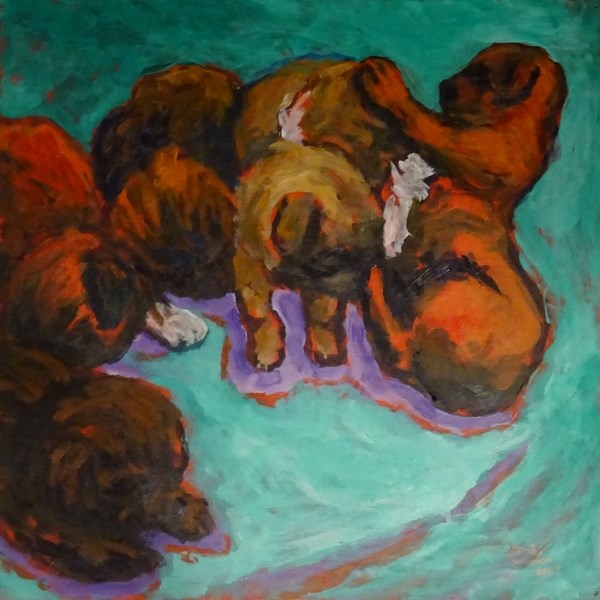 Puppy Series #7 by Father Douglas coming to Centre d&#8217;arts visuels de l&#8217;Alberta starting this Friday.