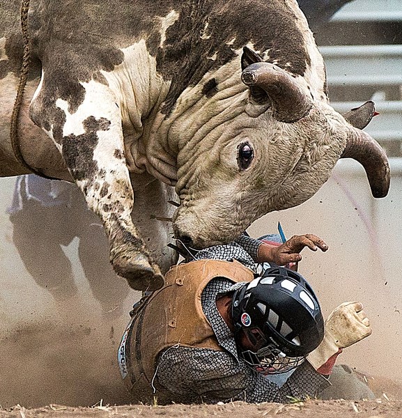 Bryan Young&#8217;s award-winning photograph of Willy Vanderleest of Tofield