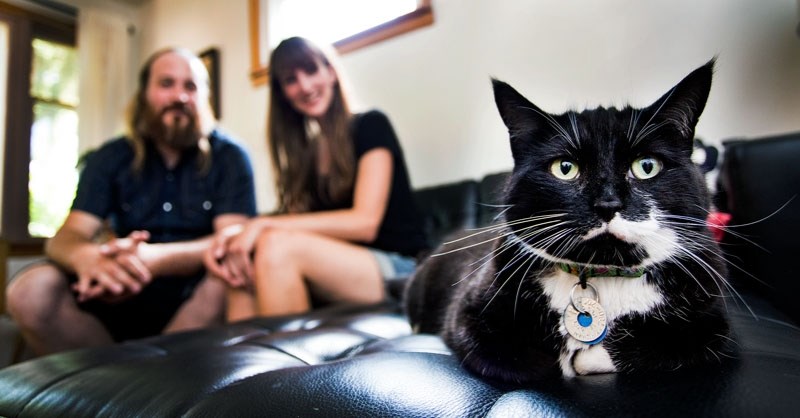 Organizers Aaron Getz and Sarah Hoyles are putting on the city&#8217;s first ever Pop-Up Cat CafĂ© today and tomorrow.
