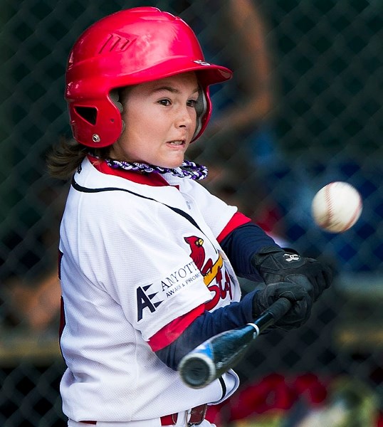 MIGHTY MOSQUITOS â€“ Zach Lausch swings at a pitch and Pierce Bokenfohr makes a catch for St. Albert Cardinals Blue at the Baseball Alberta mosquito AA Tier IV championship