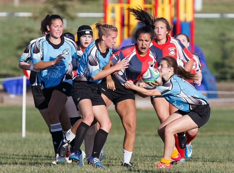 CAUGHT â€“ Payton McNeil of the St. Albert Rugby Football Club is grabbed by the Parkland Sharks in Wednesday&#8217;s U18 match in the Edmonton Rugby Union. MacNeil scored