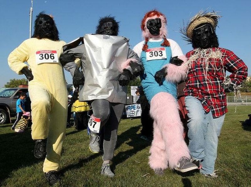 These Wizard of Oz gorillas were just a few of the creative participants of last year&#8217;s Gorilla Run