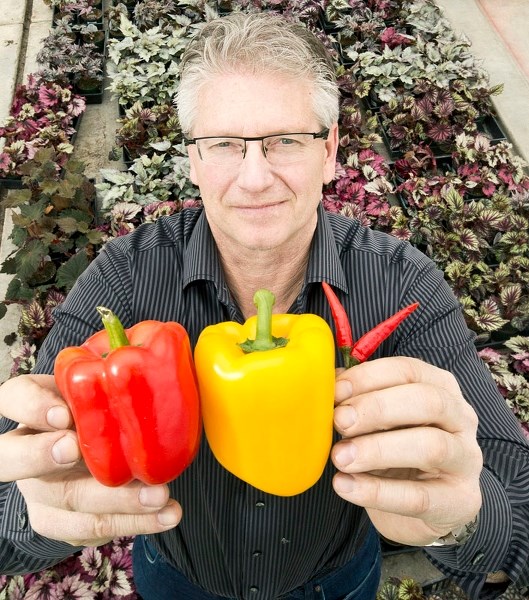 GROWING EXPERTISE â€“ Jim Hole has been giving gardening advice for more than 30 years.