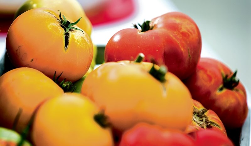 Fresh tomatoes are seen on display during the Dig-In Horticulinary Festival press event.