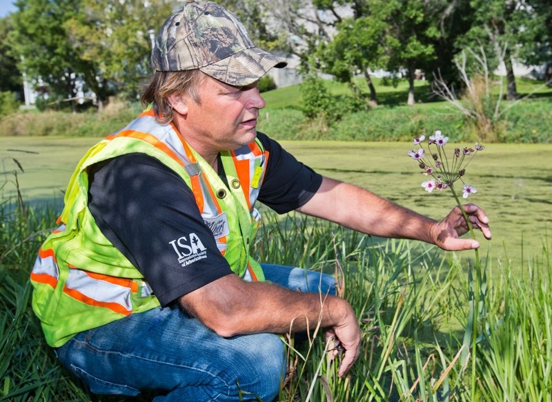 A recent report from the Alberta Water Council calls on the province to do more to fight aquatic invasive species. Here
