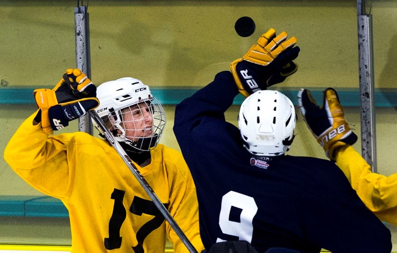 FLYING RUBBER â€“ Carson Henry (17) and Anthony Tamburrino play the puck in the air during the first of two Blue versus White intersquad games for the midget AAA St. Albert