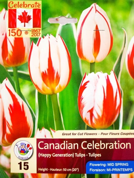 Special tulip to mark Canada&#8217;s 150th anniversary is ripe for planting this fall for a spring 2017 bloom.