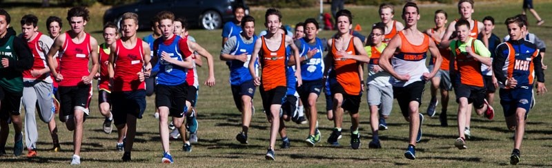 RUNNING WILD â€“ The annual St. Albert Physical Education Council district junior high cross-country championships were held Thursday at Kingswood Park. The top male and