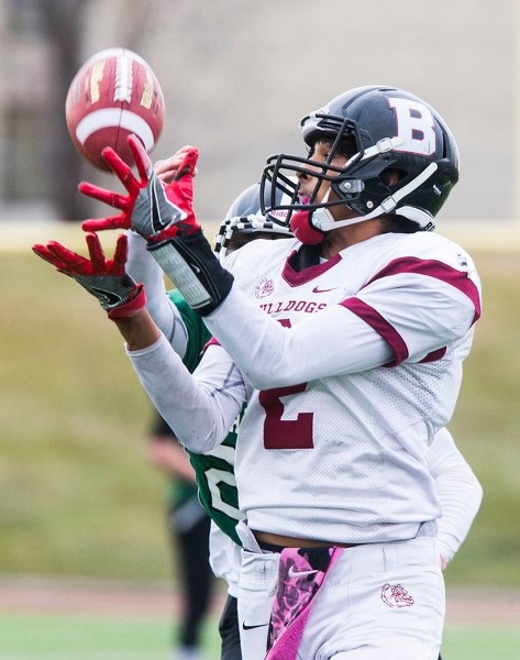 REELING IN THE BALL &#8211; Cordel Callioux catches a pass for the Bellerose Bulldogs in Saturday&#8217;s metro Edmonton Tier I provincial qualifier at Johnny Bright Park.