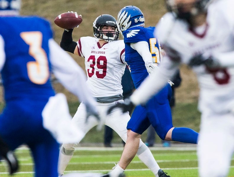 PASS PLAY â€“ Quade Kozak looks to make a pass for the Bellerose Bulldogs in Saturday&#8217;s 38-6 loss to the undefeated Bev Facey Falcons in the Tier I north semifinal at