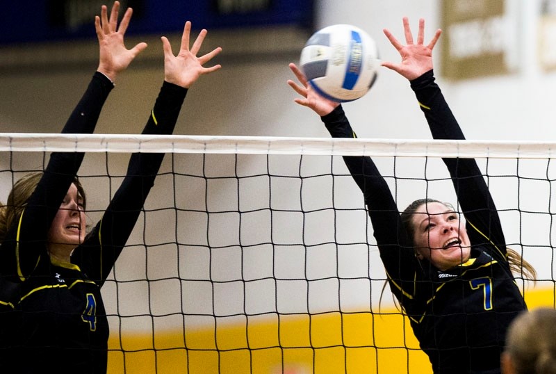 BLOCKERS â€“ Holly Vogel