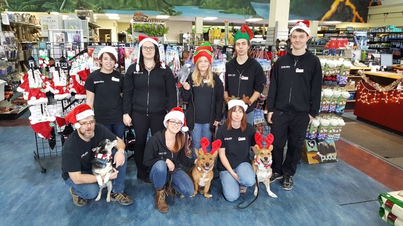 FURRY FRIENDS â€“ Staff of long time St. Albert pet store Mr. Pets (formerly Paradise Pets)