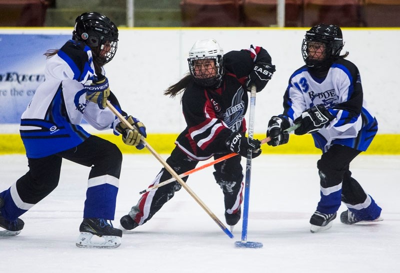 SPLITTING THE D â€“ Olivia Hwang of the St. Albert Force battles through a pair of Red Deer defenders in petite U12A action Dec. 18. The Force rallied from a 2-0 deficit