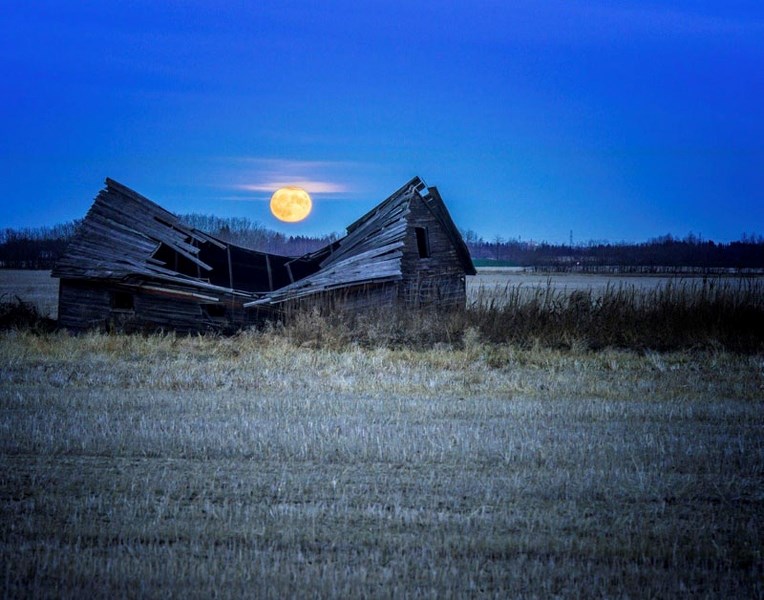 Brent Bromilow &#8211; near Johnnys store in Namao