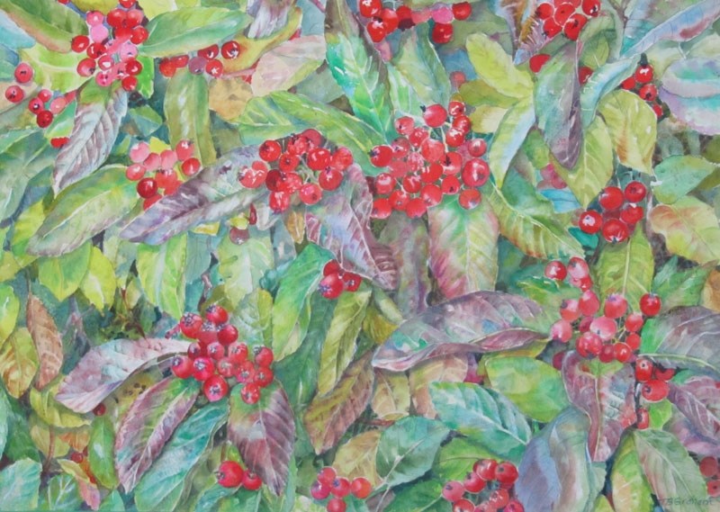 Teresa Graham&#8217;s watercolour Very Berry