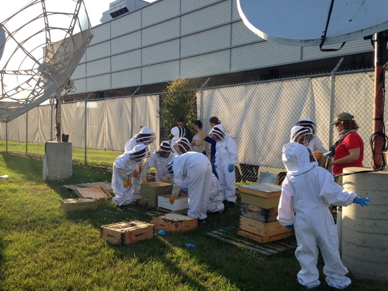 The Prince&#8217;s Beekeeping Project is a free club allowing Edmonton-area youth to learn about beekeeping