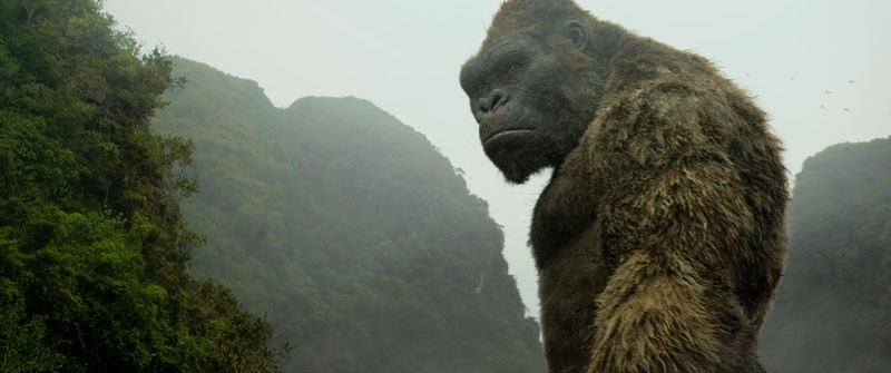 King Kong