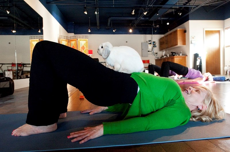 Yoga instructor Sharon Ryan