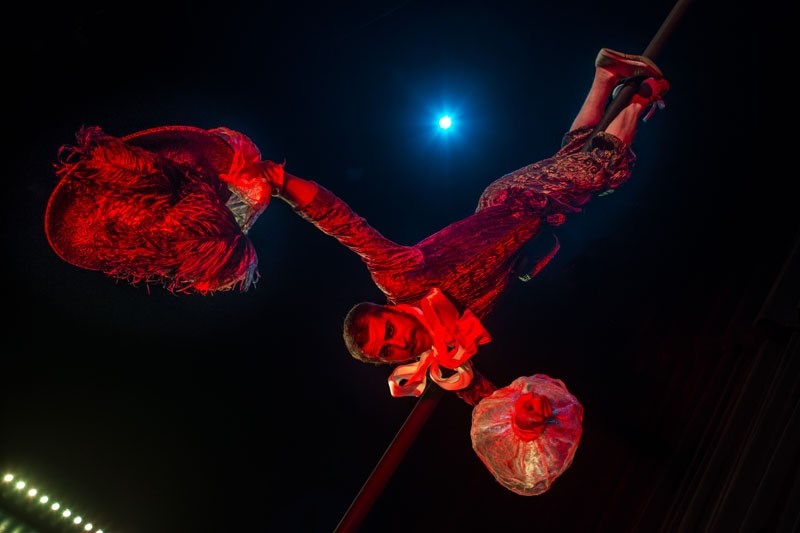 Acrobat Ross Travis returns as the tempestuous Ponce de Ponce de Panache in Firefly&#8217;s new political satire Panache pt. Deux: The Triumph of Ponce running March 24 to 26 