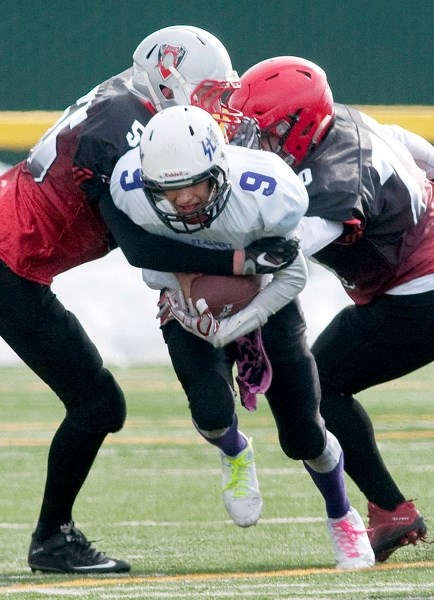 STORMING THROUGH â€“ Cordel Callioux battles through a pair of tacklers during midget spring league action with the St. Albert Storm. Callioux teamed up with quarterback