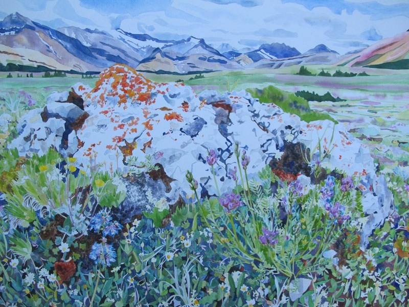 Rayma Peterson&#8217;s Orange Lichen Rock is just one of the many pieces on display at VASA for the Nature&#8217;s Garden group show. Peterson is joined by Al Anderson