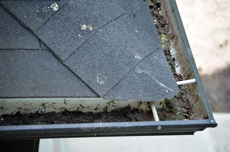 Cleaning leaves and debris from eaves troughs is just one way to prevent water from building up where it is not wanted.