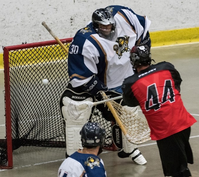 FILLING THE NET &#8211; Graedon Cornfield of the St. Albert Miners scores one of his three goals against Tyler Hollick of the Beaumont Outlaws in Wednesday&#8217;s 19-6