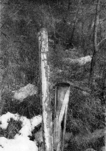 2911 portfolio sh candace makowichuk Fencepost_Bromoil