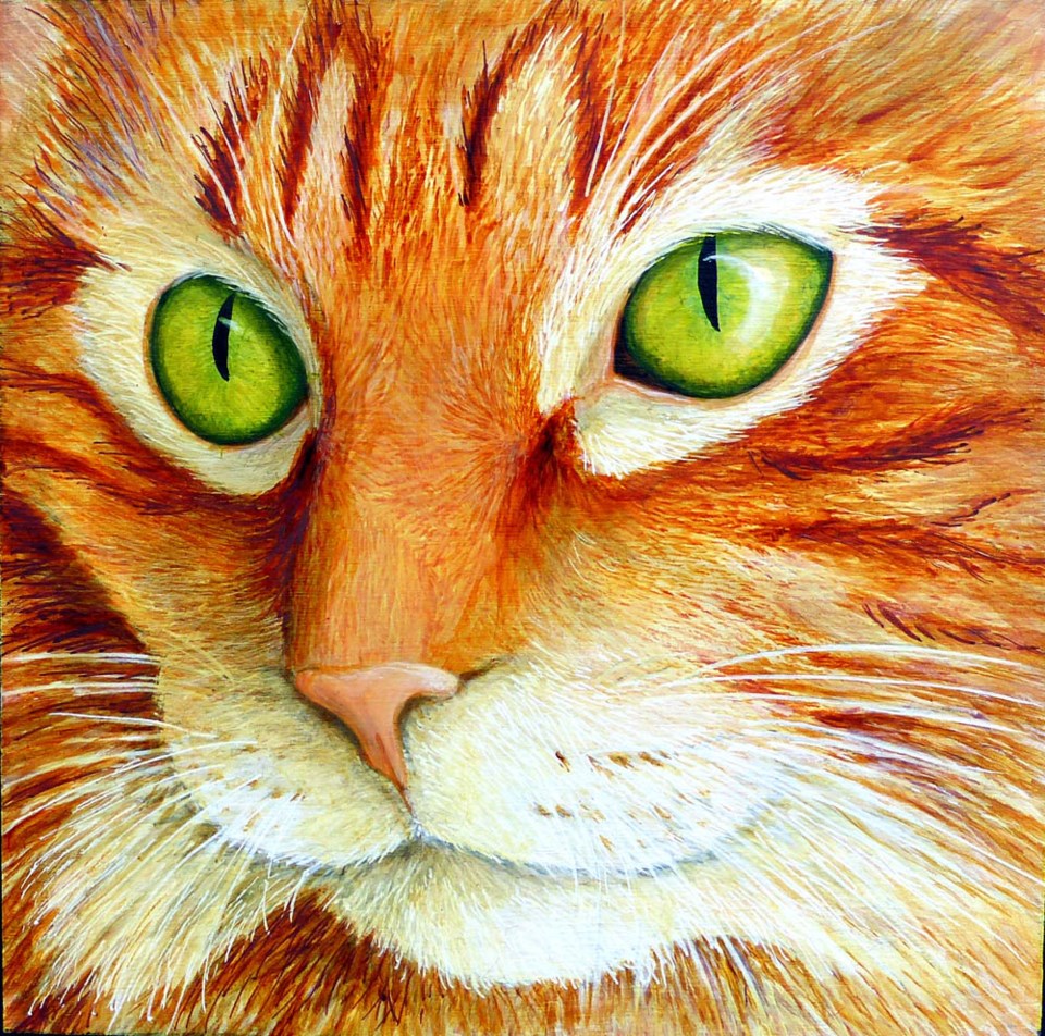 0301 portfolio sh Victoria Armstrong Ginger