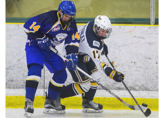 3012 sabres CC 9531