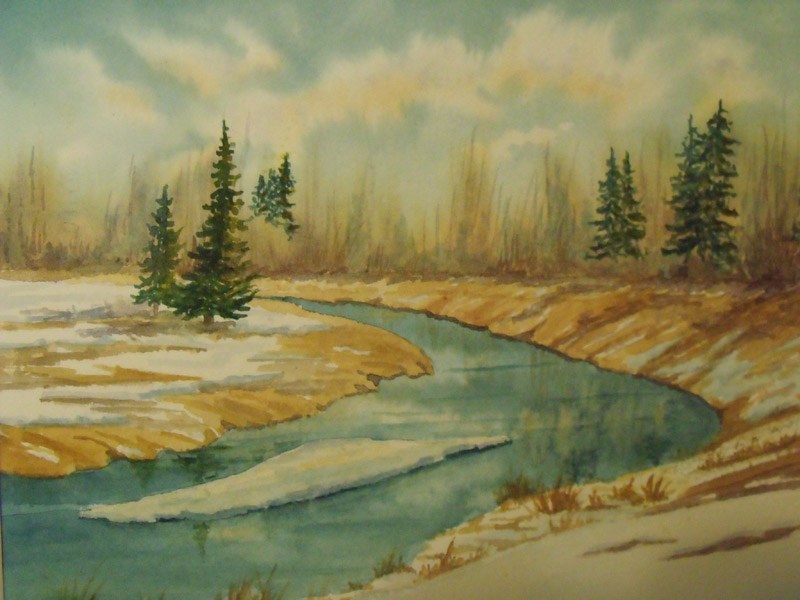 1701 portfolio sh Carol Rose Sturgeon River Pristine