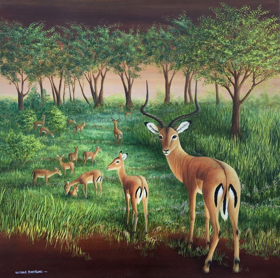 1403 WEB portfolio sh All Ears Impala at Sunrise by Victoria Armstrong