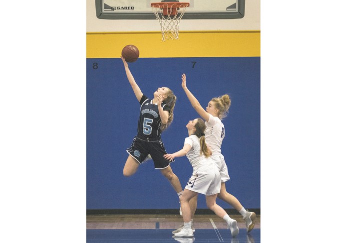 1403 hoops DR293