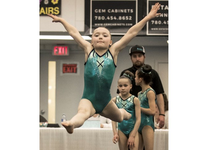 2504 gymnastics DR036