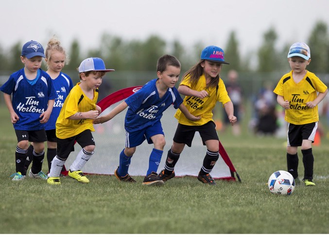 1306 timbits CC 1918