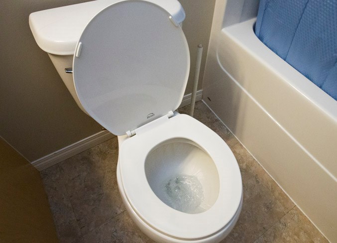 1108 toilet CC 0936.eps