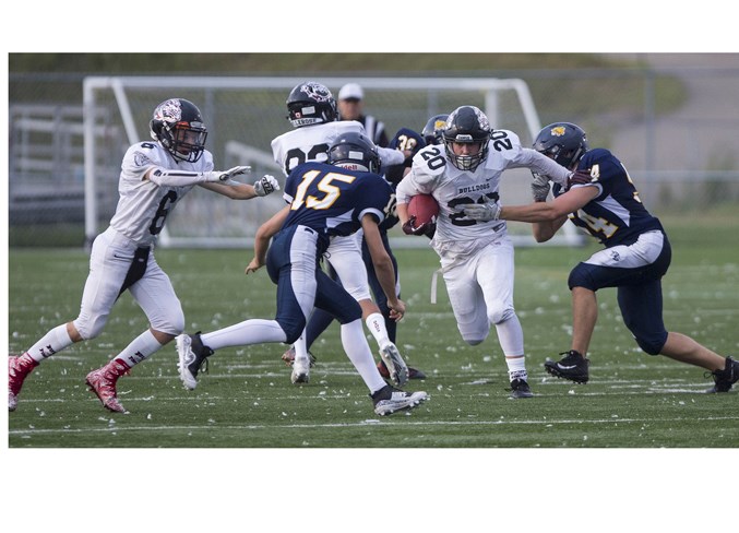 0509 bulldogs CC 5548