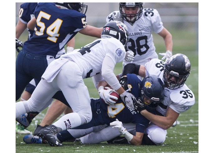 0809 bulldogs CC 5061 web