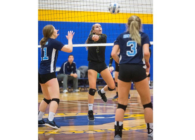 2609 vball CC 3382.eps