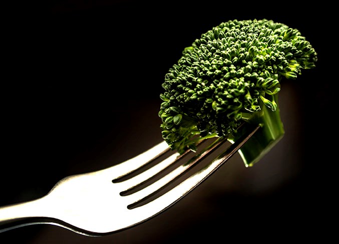 Fork and broccoli study January 23, 2019.