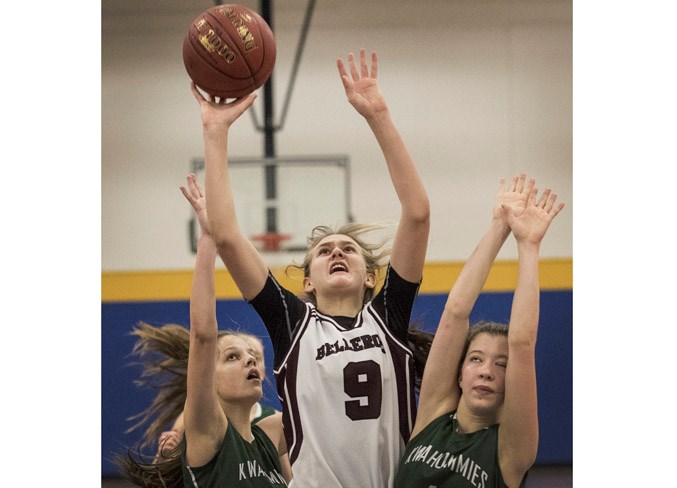 WEB SPORTS 0202 bulldogs DR108
