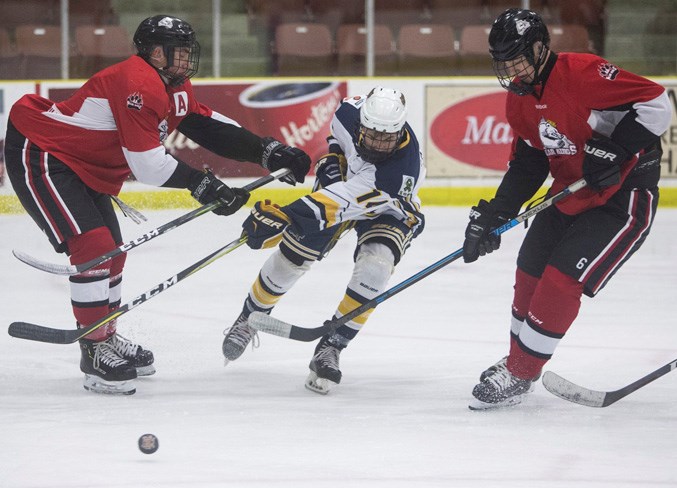 WEB SPORTS 1901 crusaders CC 6368
