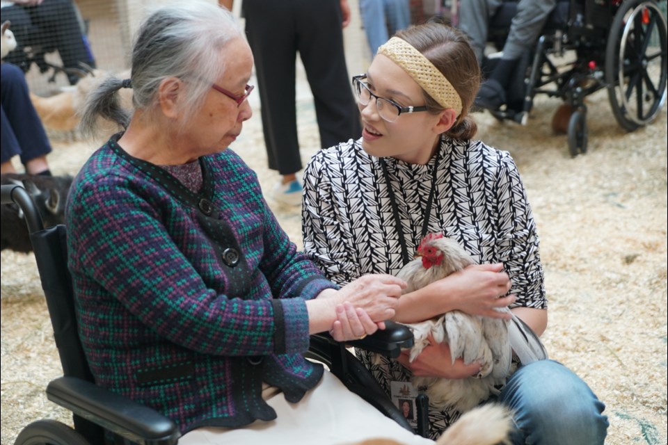 A staff member at the Citadel Care Centre encourages a resident to pet a chicken. RILEY TJOSVOLD/Great West Media.