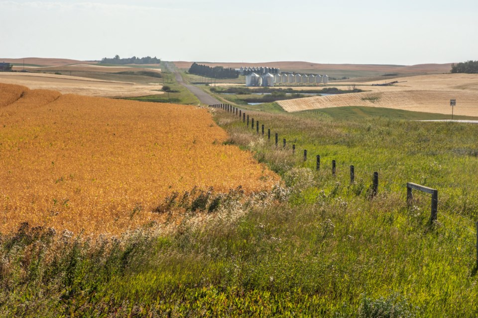 rural_alberta