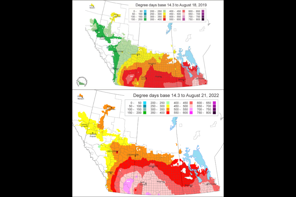 A comparison of degree days maps from August 2022 and August 2019, the last year reported by Alberta, shows the extent rising temperatures and extreme heat events have increased the risk of West Nile virus.