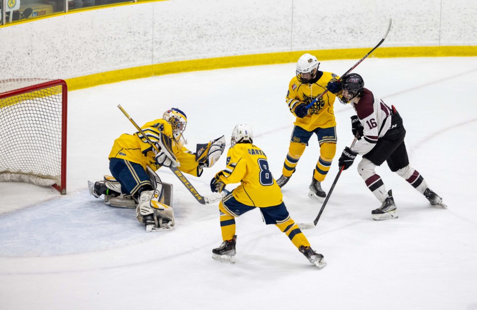 sports-2-2-ccsabres-goalie