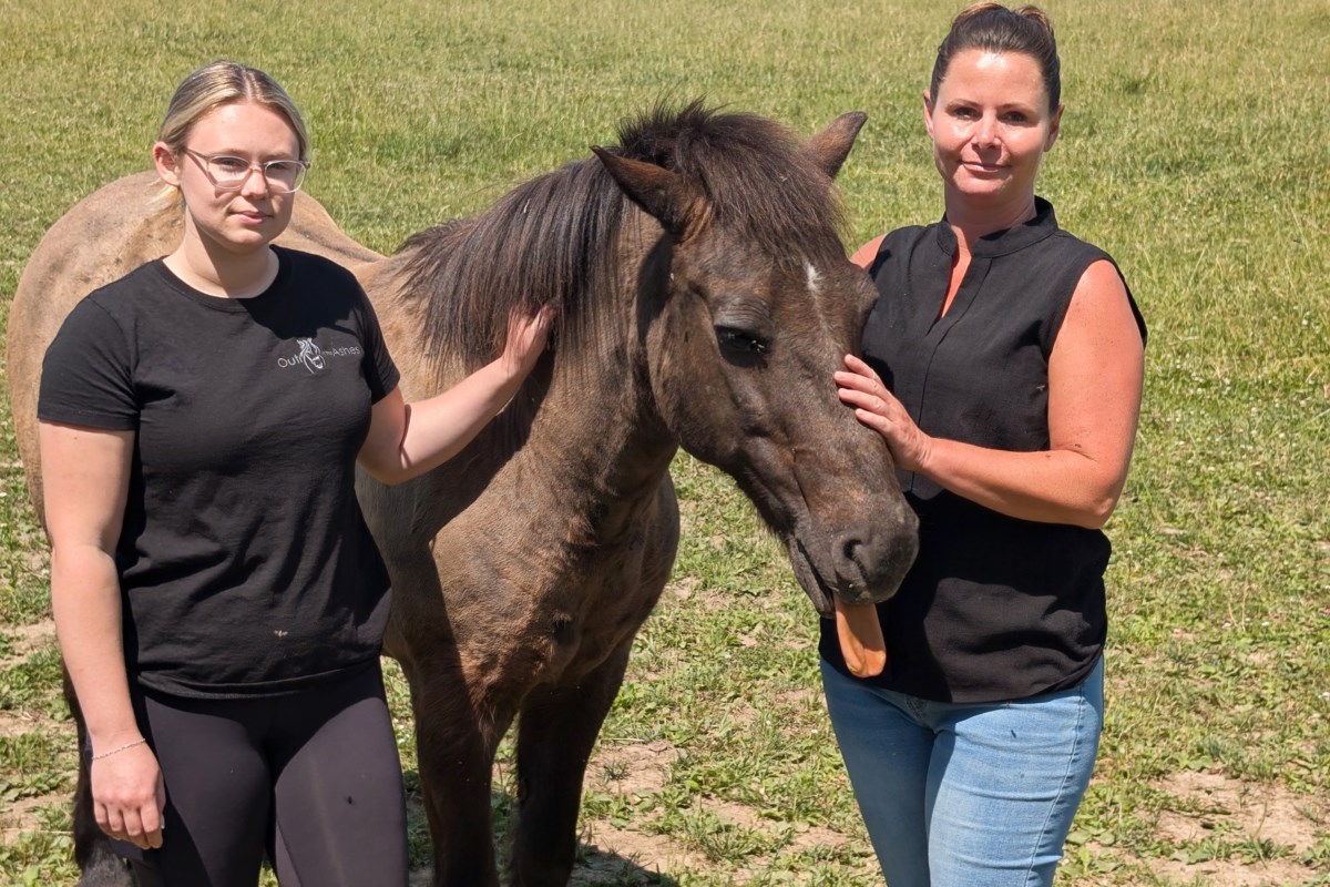 After a tragic accident involving one of her horses, Angie Hurst is calling on Perth County residents and officials to reconsider how they celebrate holidays involving loud pyrotechnics.